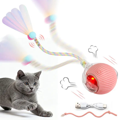 Interactive Motion-Activated Ball Toy for Cats & Small Dogs