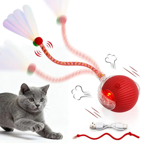 Interactive Motion-Activated Ball Toy for Cats & Small Dogs