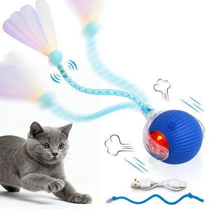 Interactive Motion-Activated Ball Toy for Cats & Small Dogs
