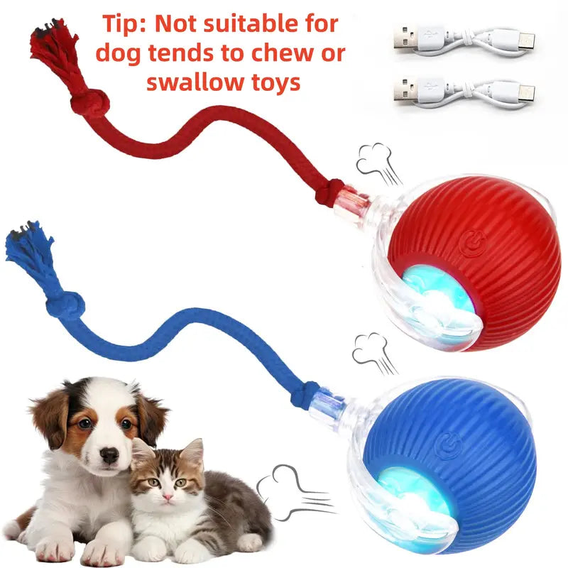 Interactive Motion-Activated Ball Toy for Cats & Small Dogs