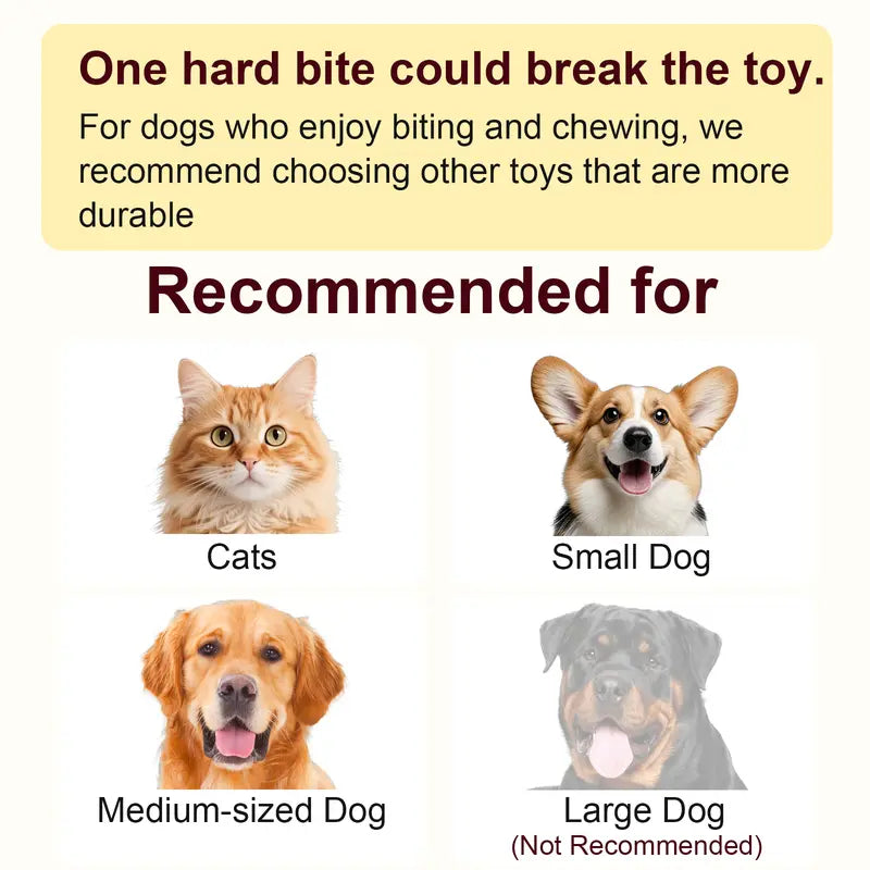 Interactive Motion-Activated Ball Toy for Cats & Small Dogs