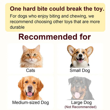 Interactive Motion-Activated Ball Toy for Cats & Small Dogs