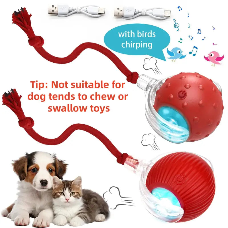 Interactive Motion-Activated Ball Toy for Cats & Small Dogs