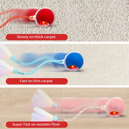 Interactive Motion-Activated Ball Toy for Cats & Small Dogs