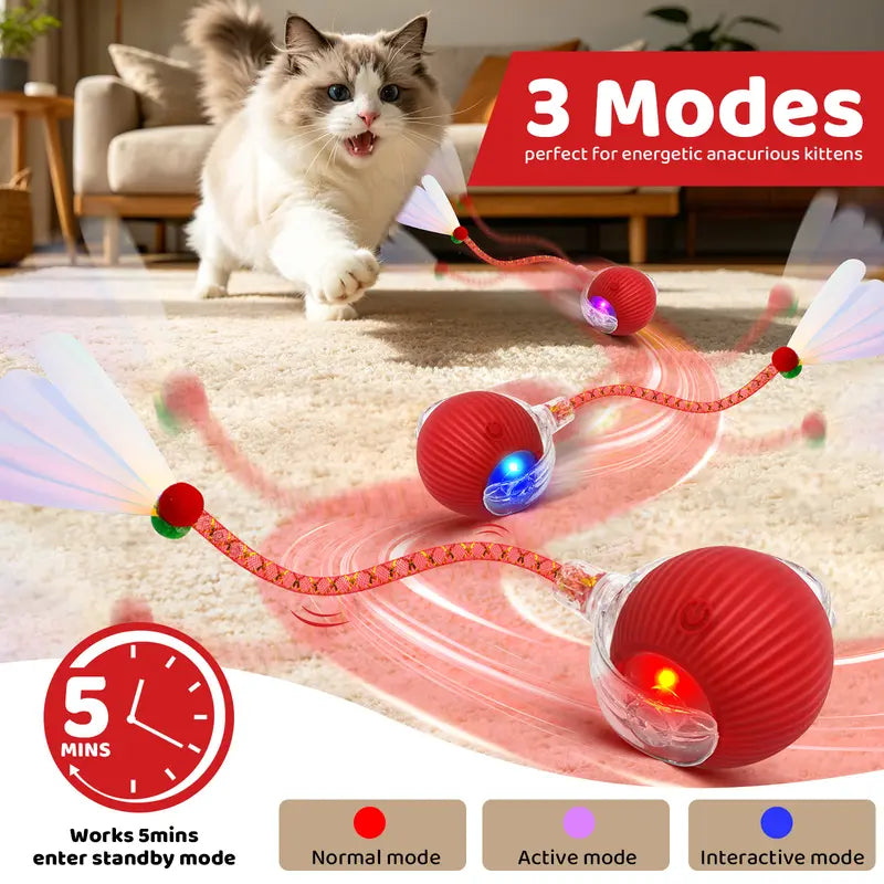 Interactive Motion-Activated Ball Toy for Cats & Small Dogs